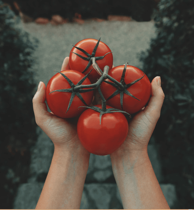 Urban Farmer